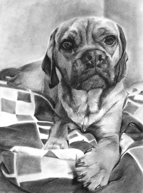 Scooter the Dog, 18"x24"
