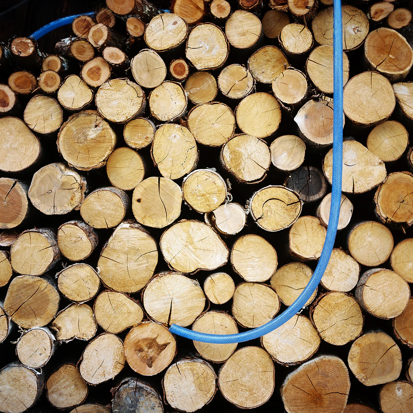 Firewood. JAPAN, 2010