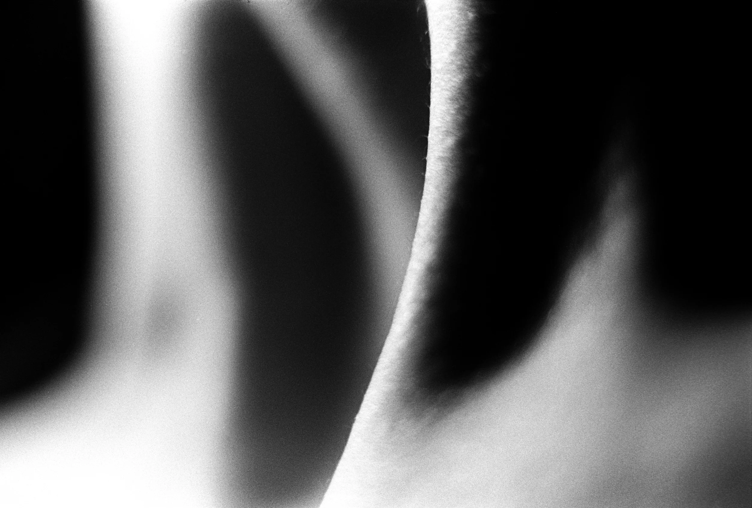 Neck. NEW YORK, 2004