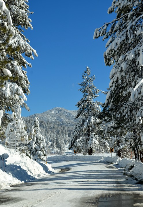 Big Bear California courtesy of after o range county blog .