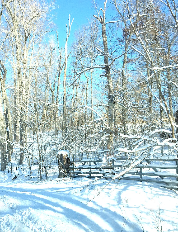 photo courtesy of Thistlewood Farms blog