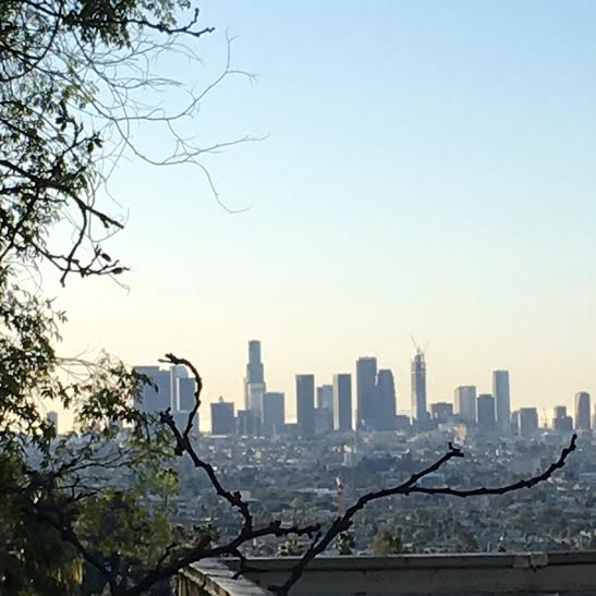 Los Angeles skyline. Photo by Martin Pierce Hardware Los Angeles Ca 90016