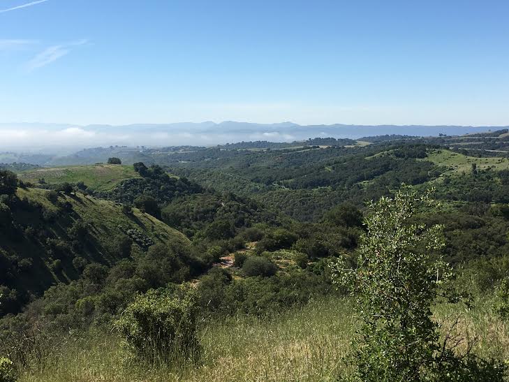 Paso Robles California via Martin Pierce Hardware Los Angeles CA 980016