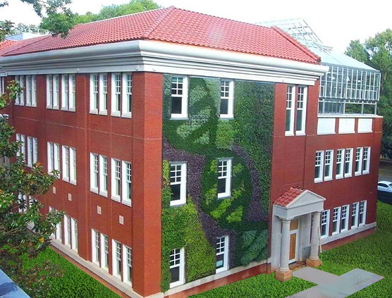 Living wall design from Ambius at Queen's University Charlotte features a unique design