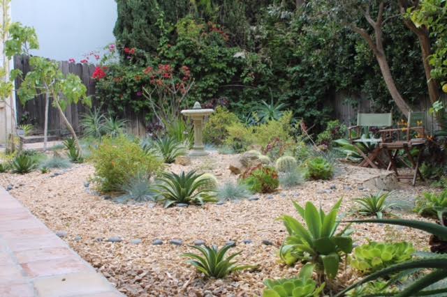 Drought tolerant garden from Martin Pierce Hardware Los Angeles CA 90016