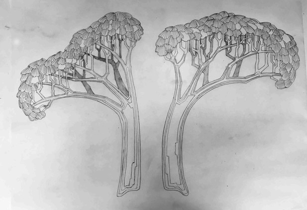 Angular Leaf Sections in Canopy with Stronger Directional Limbs by Martin Pierce Hardware Los Angeles Ca 90016