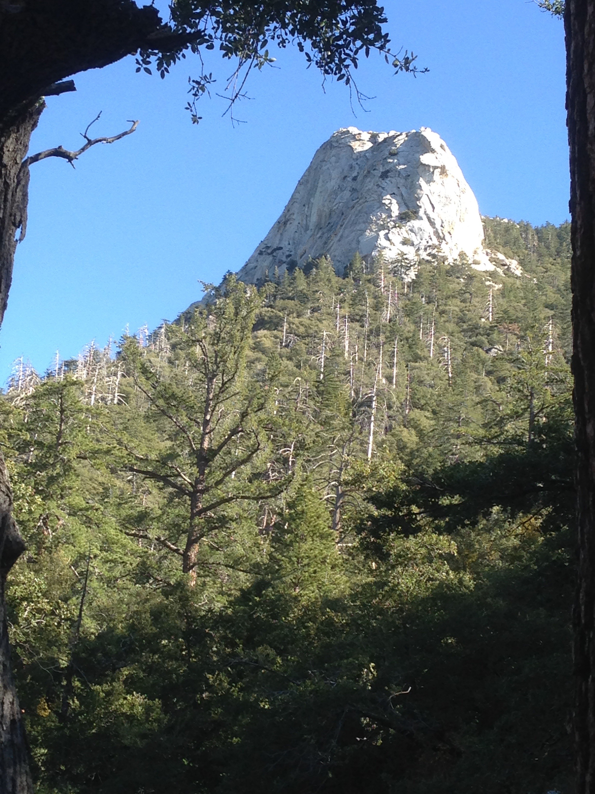 Lilly rock in Idyllwild, California photo Martin Pierce Hardware Los Angeles Ca 90016