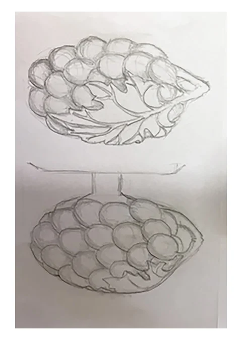 Grape door knob concept.jpg