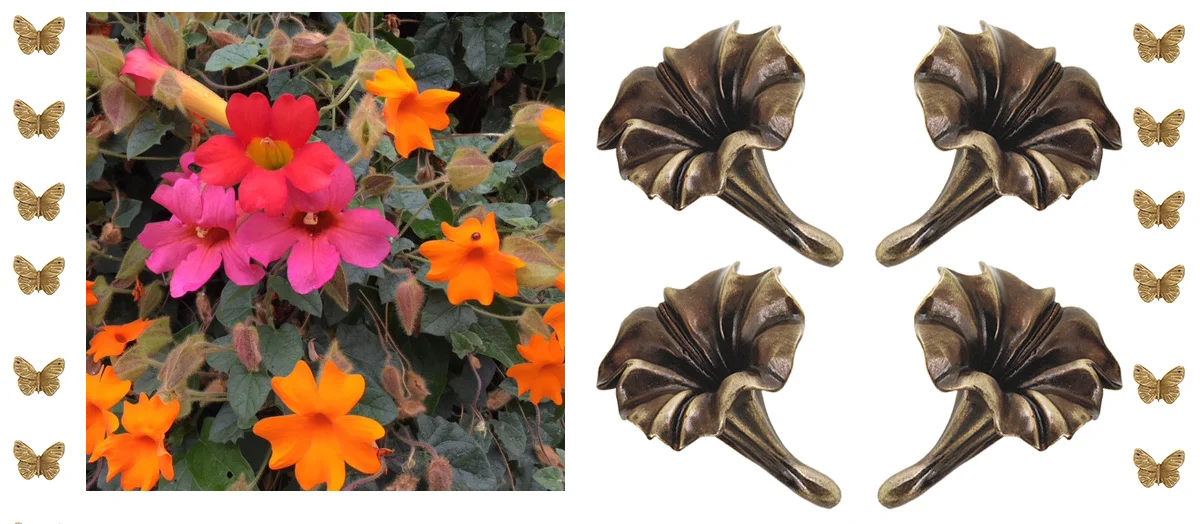 Drought tolerant plants