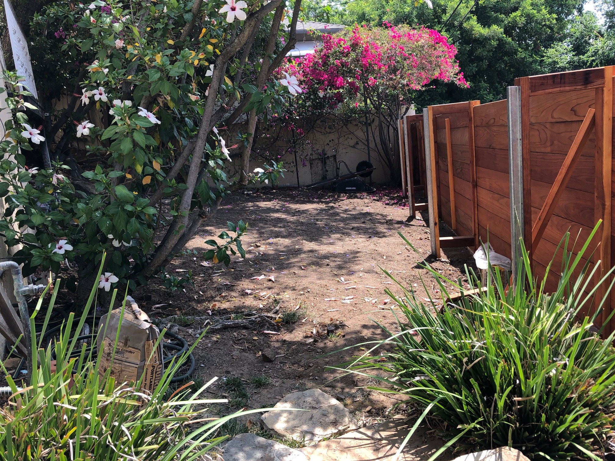 Front garden.jpg