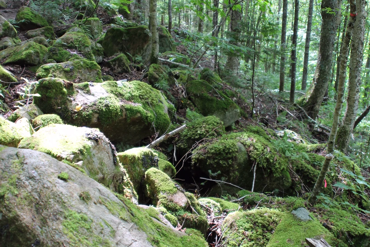 Quebec an inspiring Canadian Province