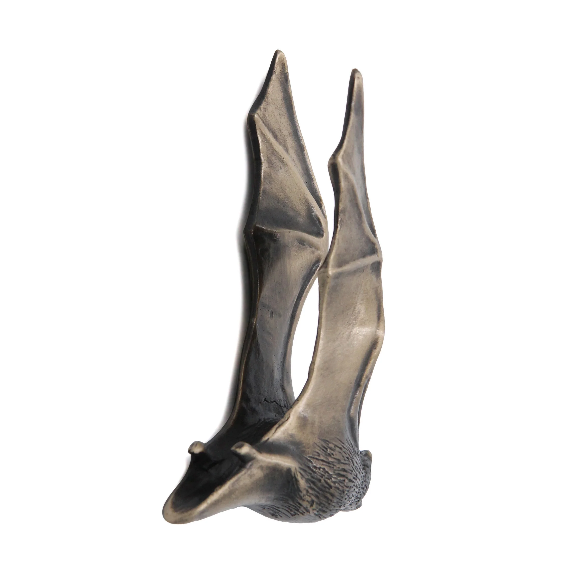 Bat LEFT behind .jpg