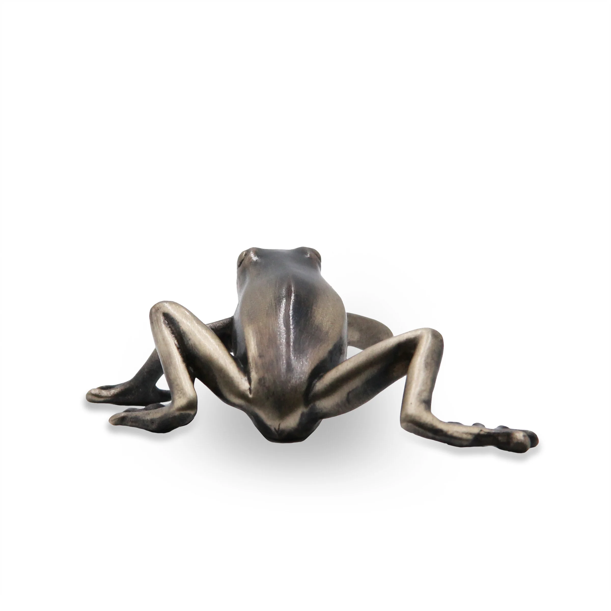 Frog LEFT Behind.jpg
