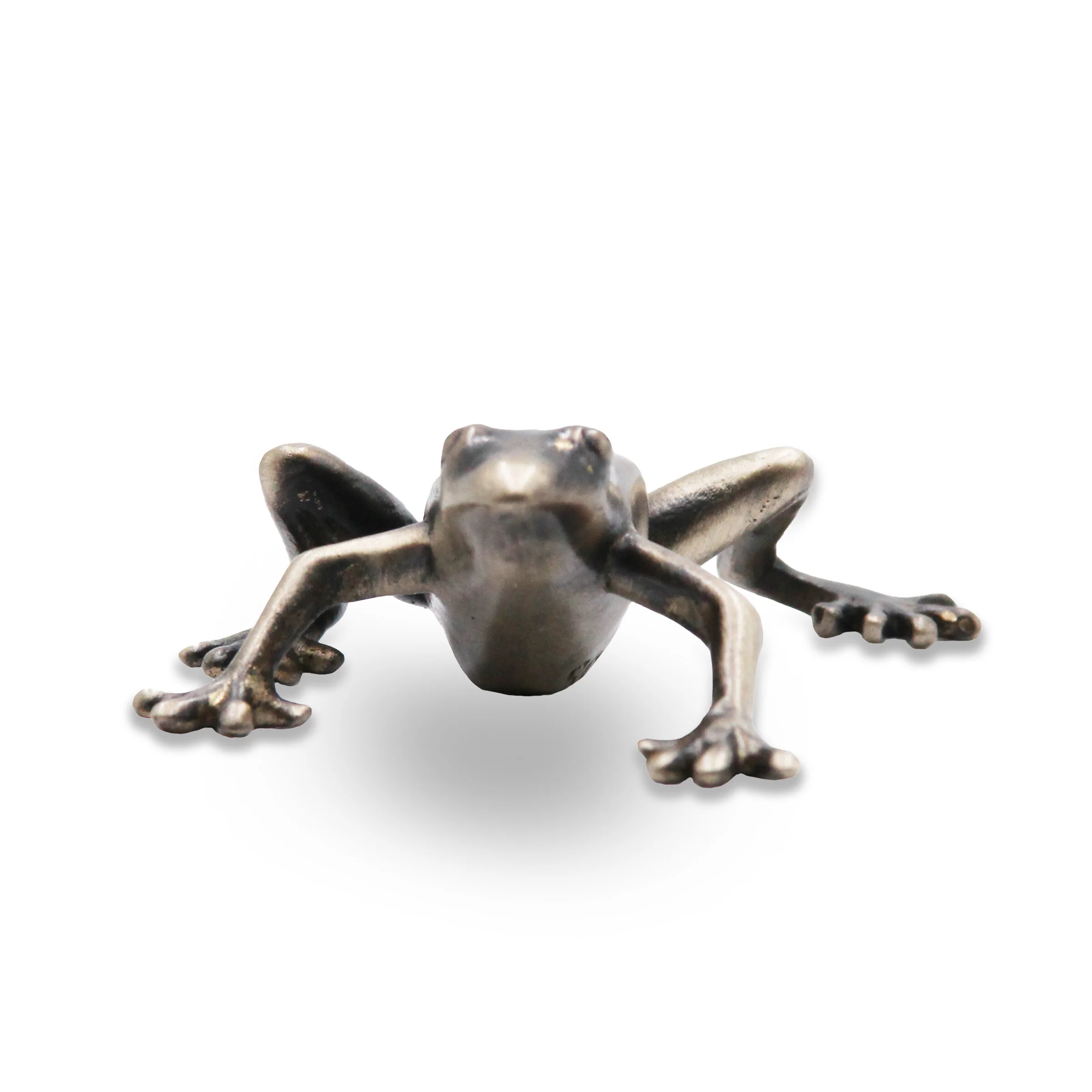 Frog RIGHT HEAD ON .jpg