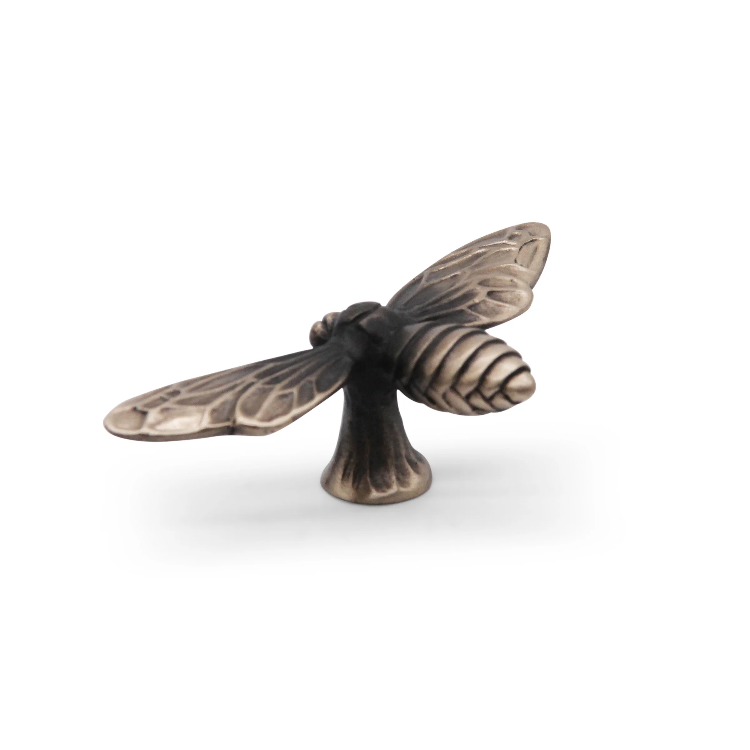 Wasp wings open THREE .jpg