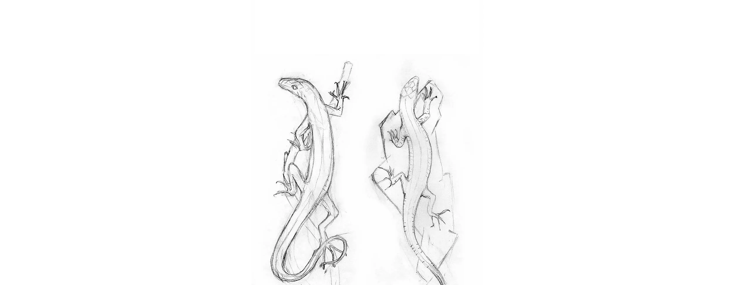 Lizard Door Handles Insired by Nature Pragmatically Adapted