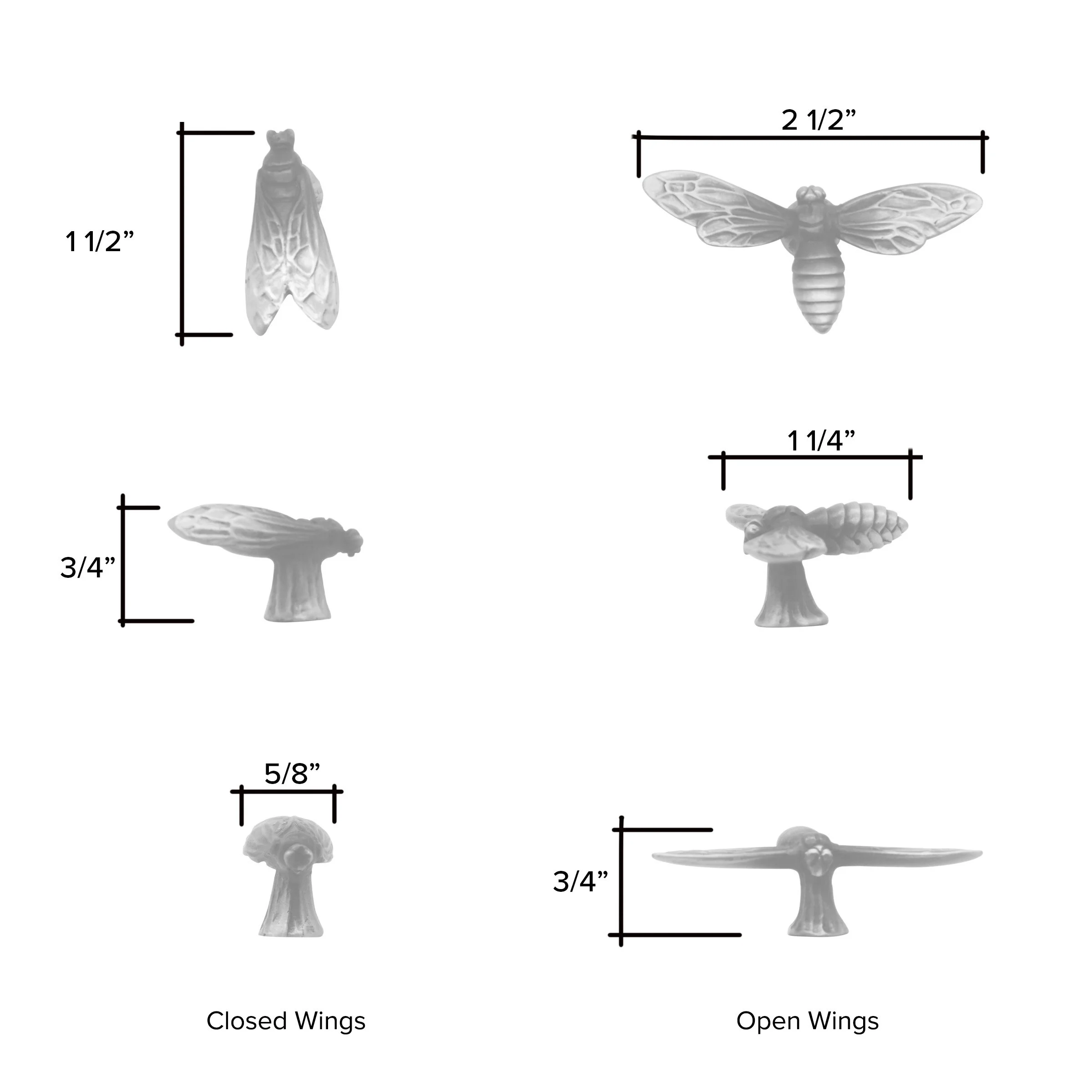 WASP OPEN AND CLOSED DIM VERTICAL FOR OPEN LT.jpg