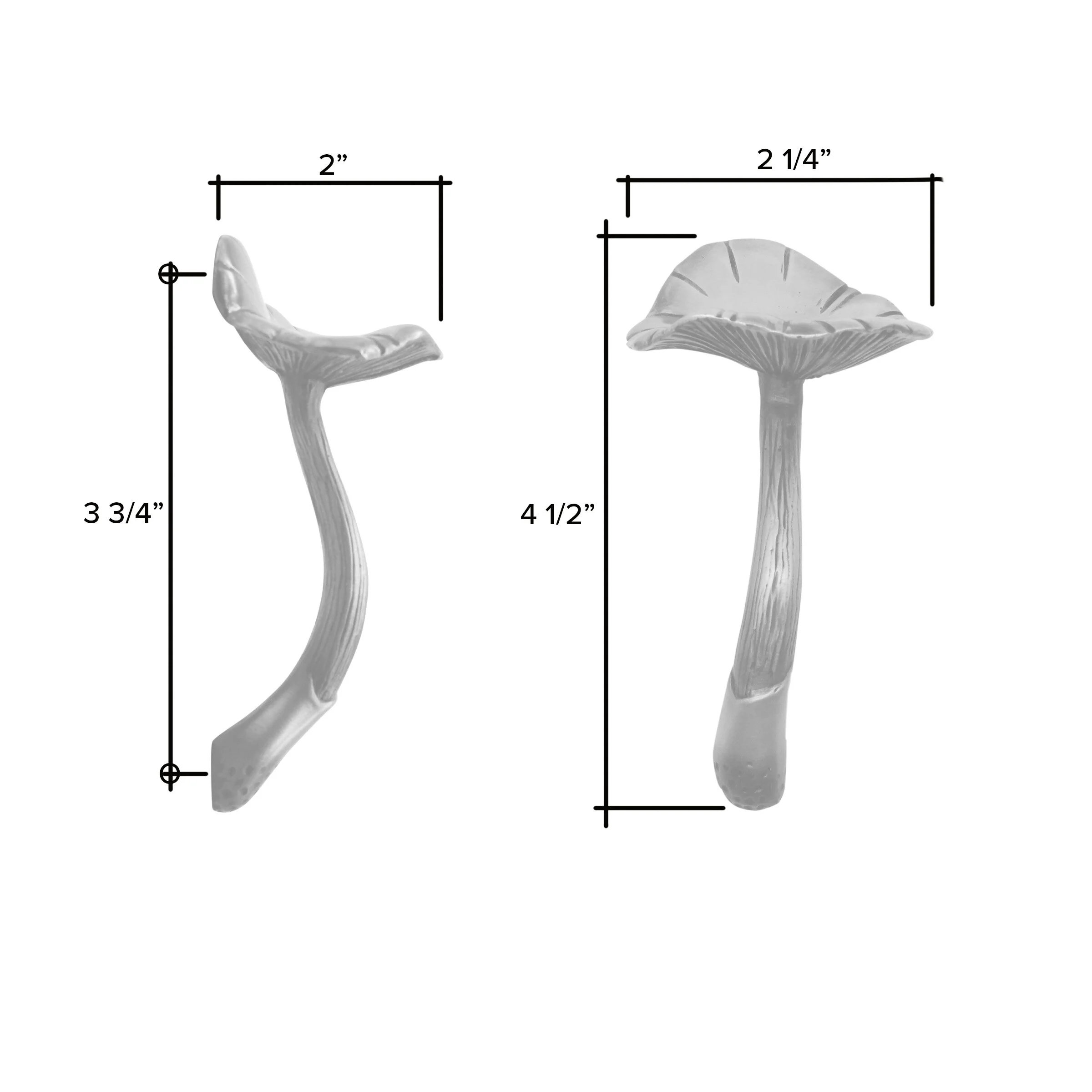 Large mushroom right.jpg