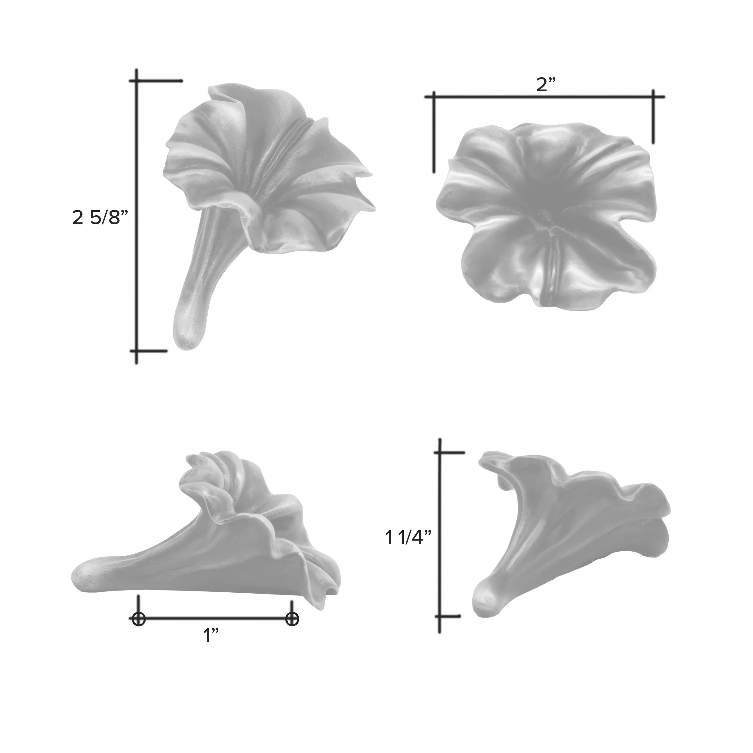 Trumpet flower DIM .jpg