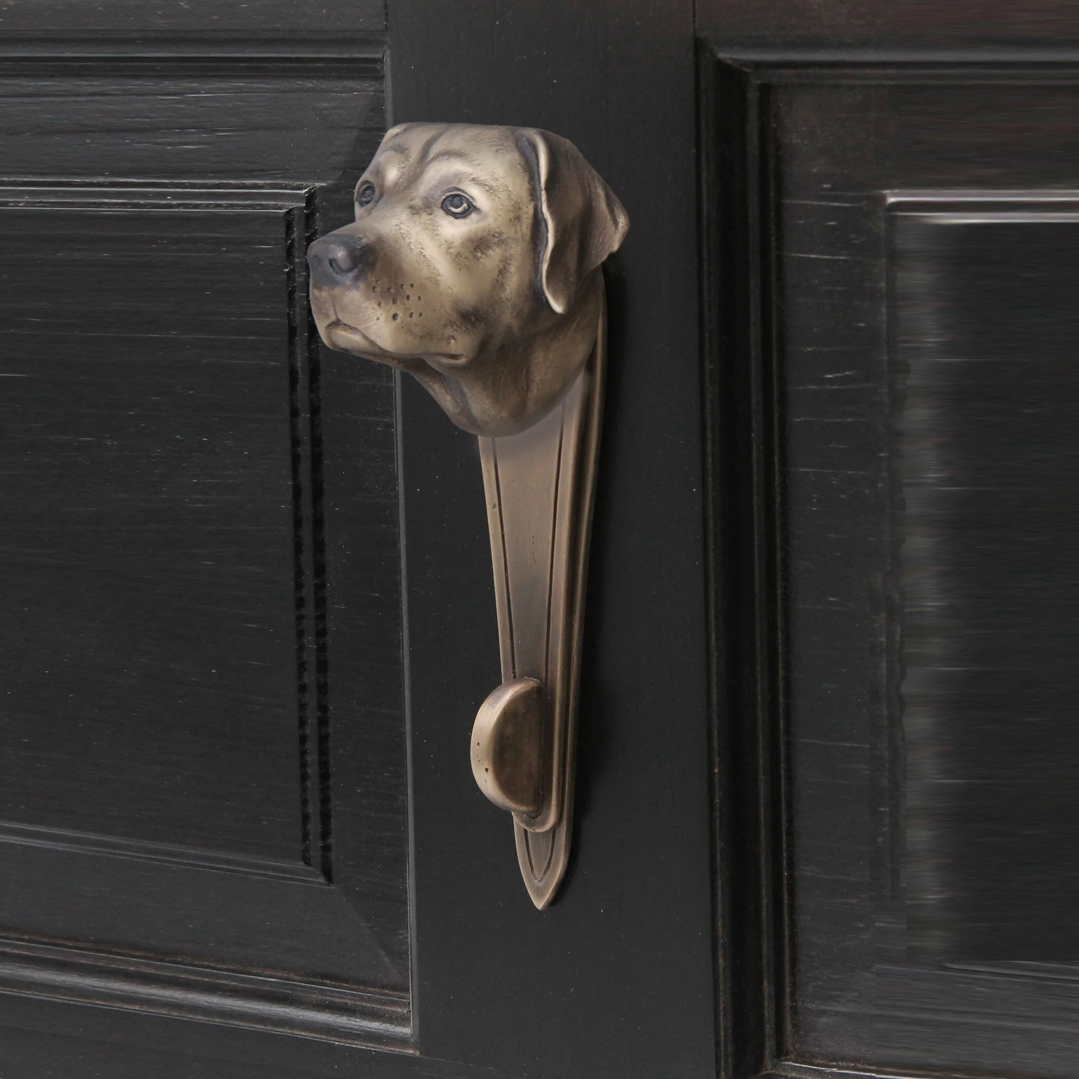 Right  view of Labrador door knocker in bronze – detailed expression by Martin Pierce