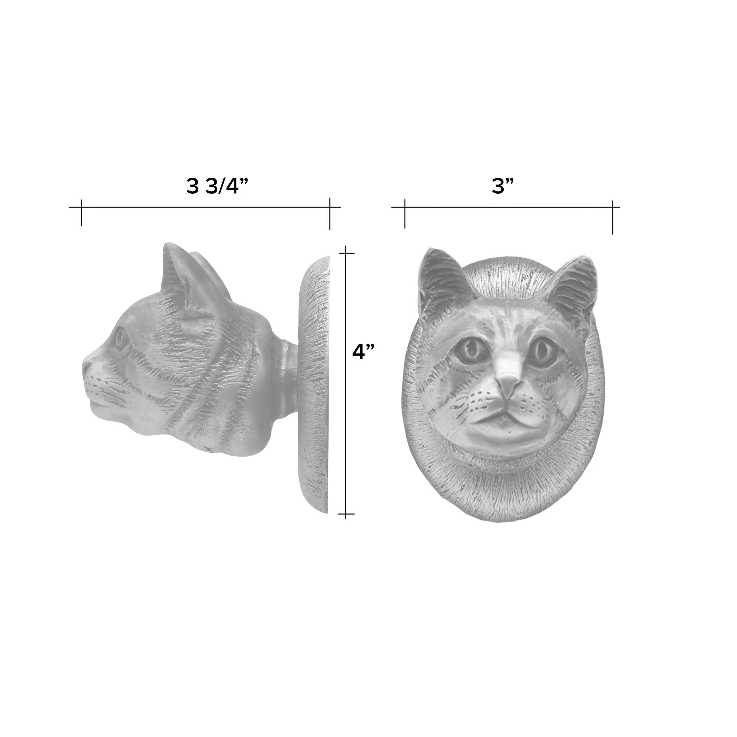 common cat fixed LINEWEB.jpg