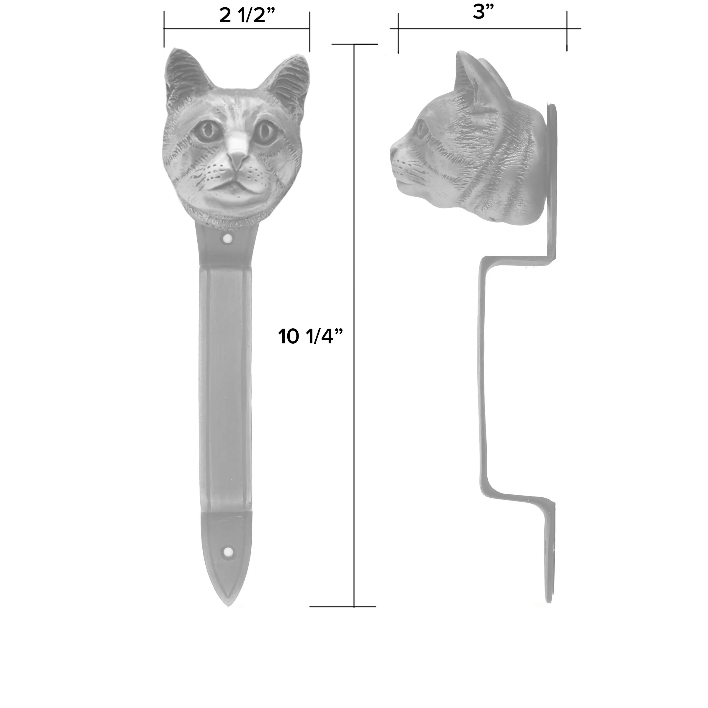 Common cat pull LINE WEBdimentions.jpg