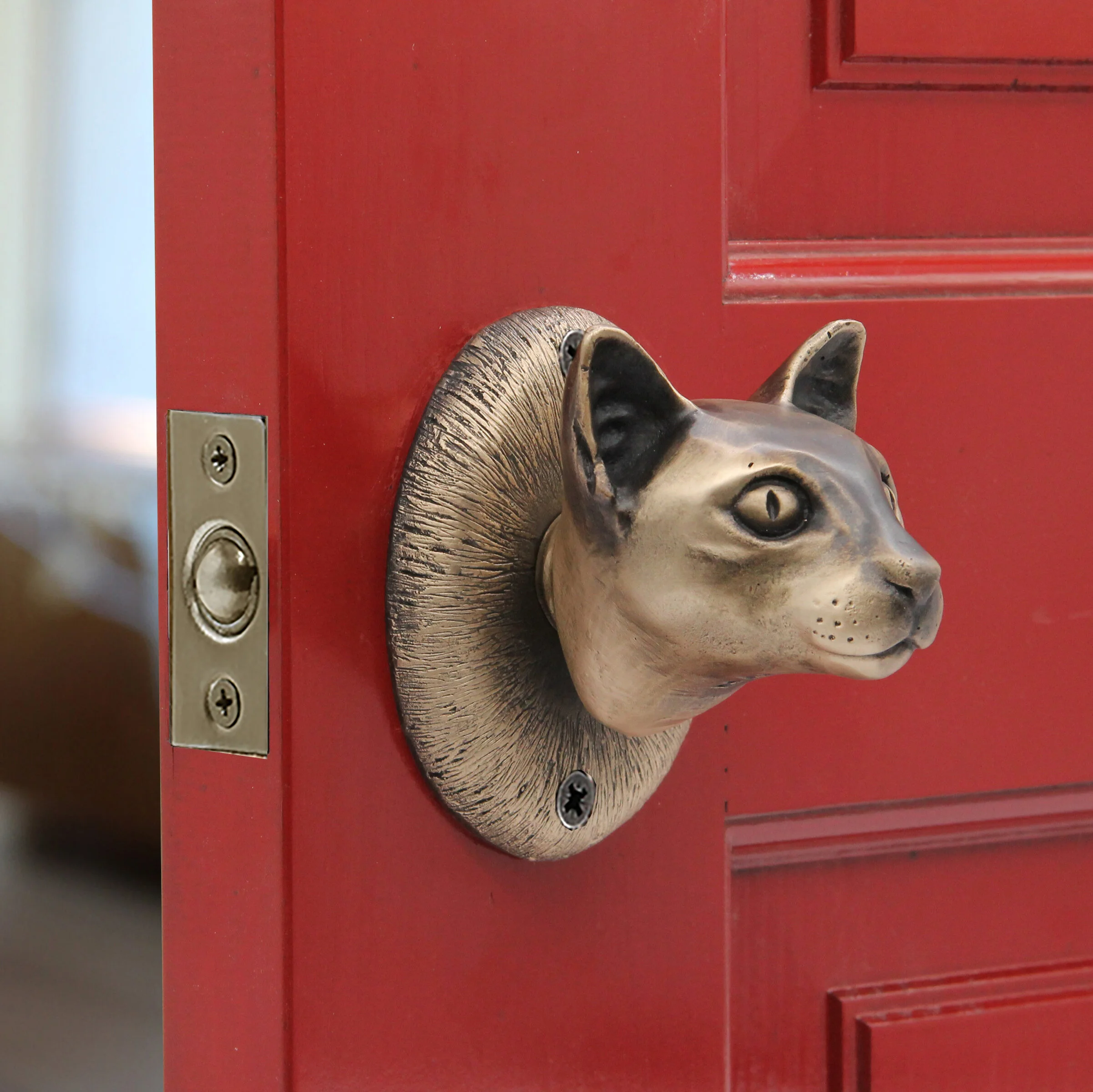 siamese fixed.jpg