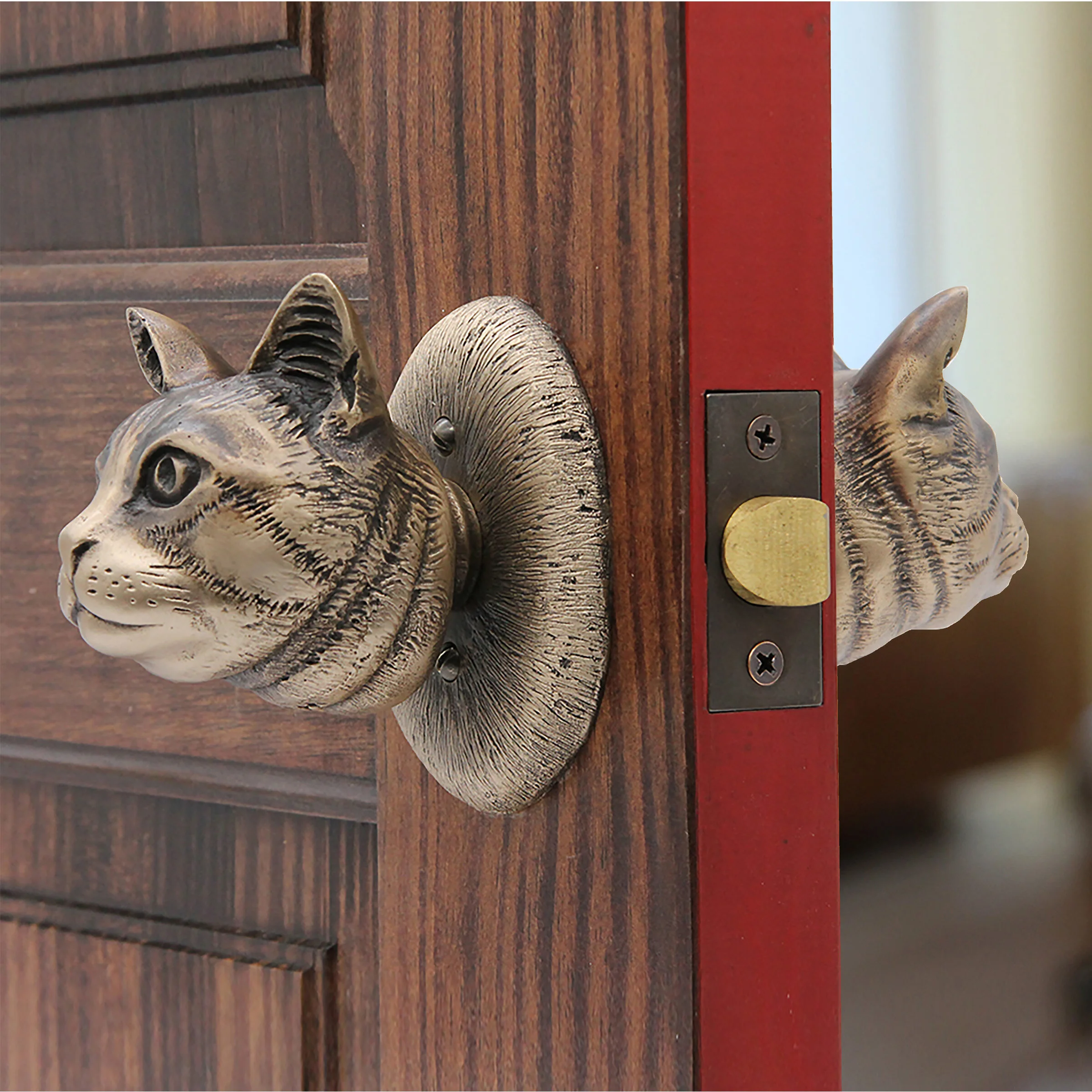 common cat passage.jpg