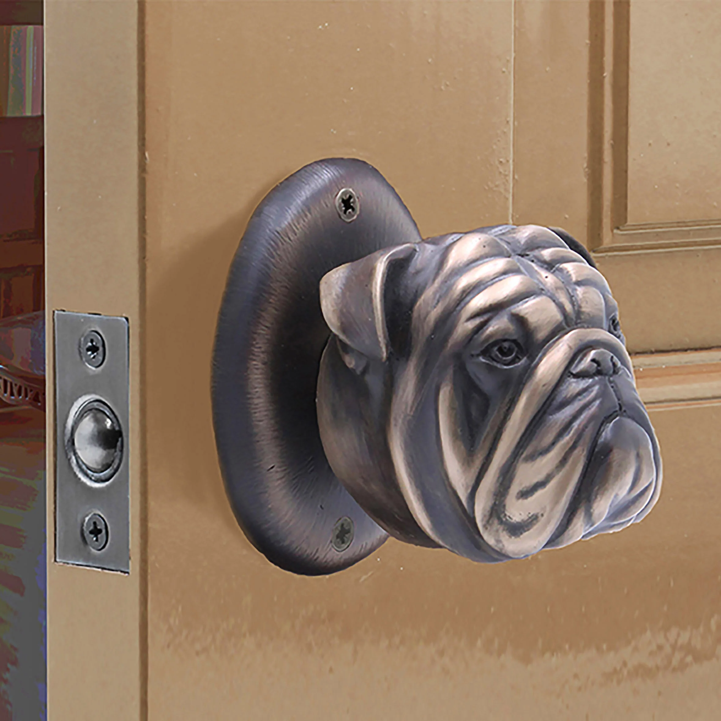English Bulldog fixed.jpg