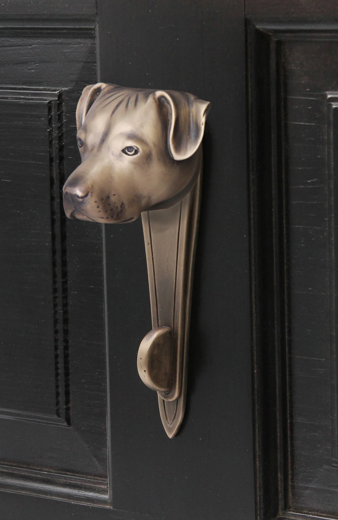 Staff bull terrier knocker 3.jpg