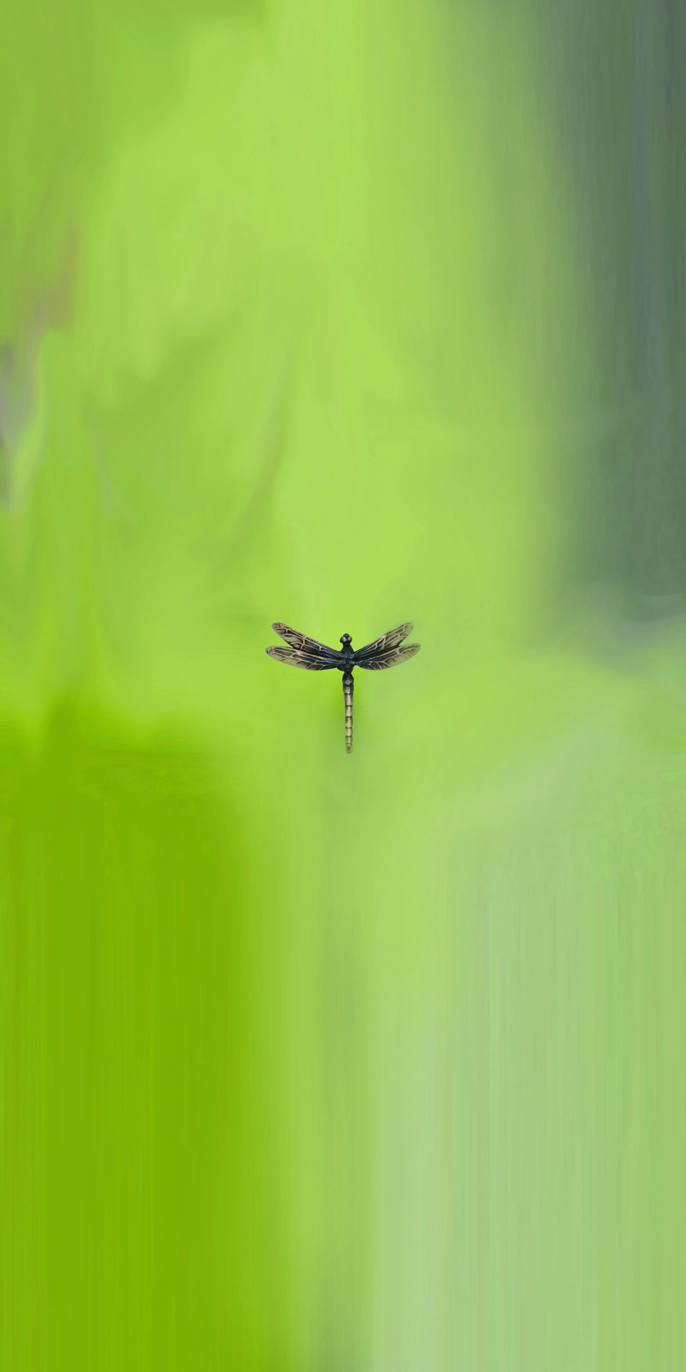 Inspiration for cabinet pulls from insects and animals