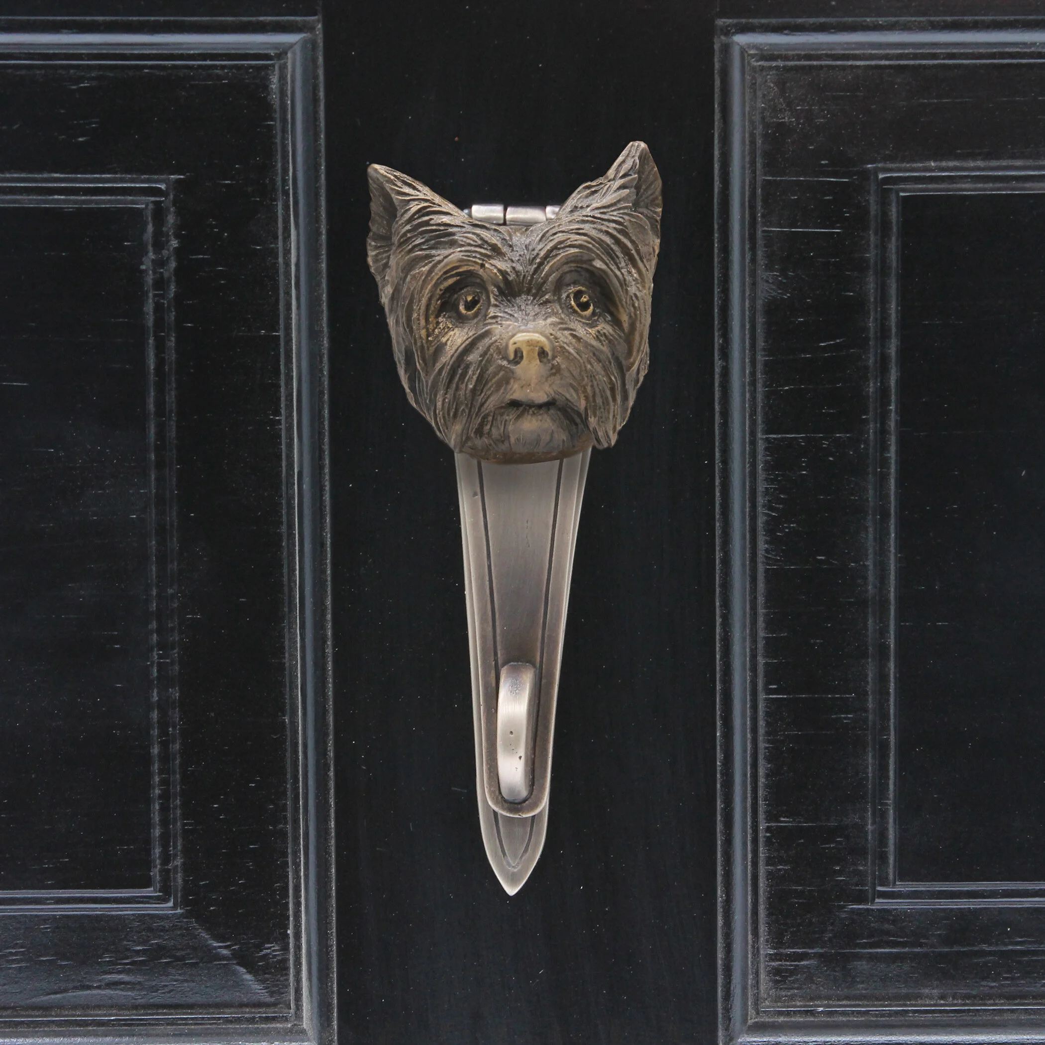 Yorkshier Terrier Knocker face on.jpg