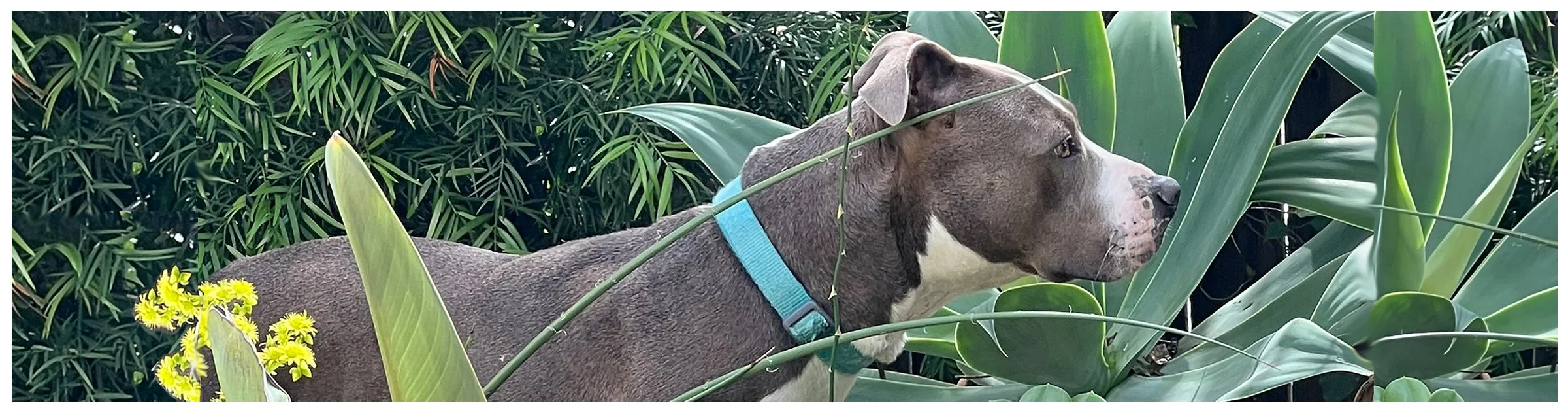 Beauty is in the eye of the beholder