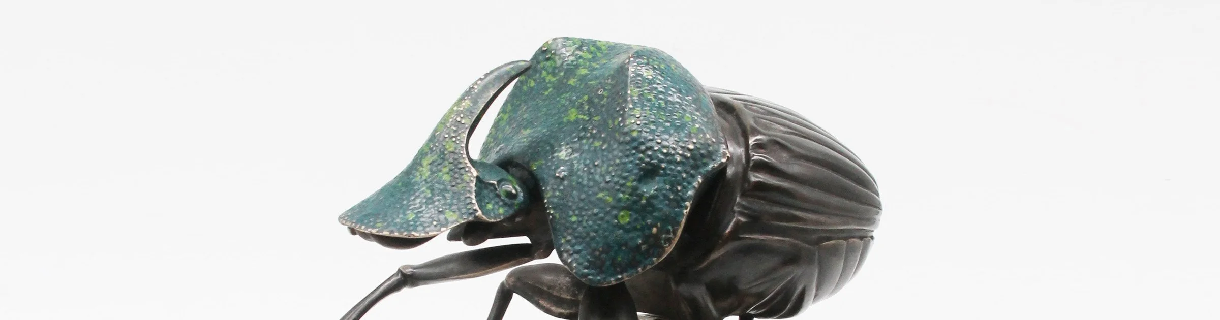 A complimentary accessory to the dung beetle