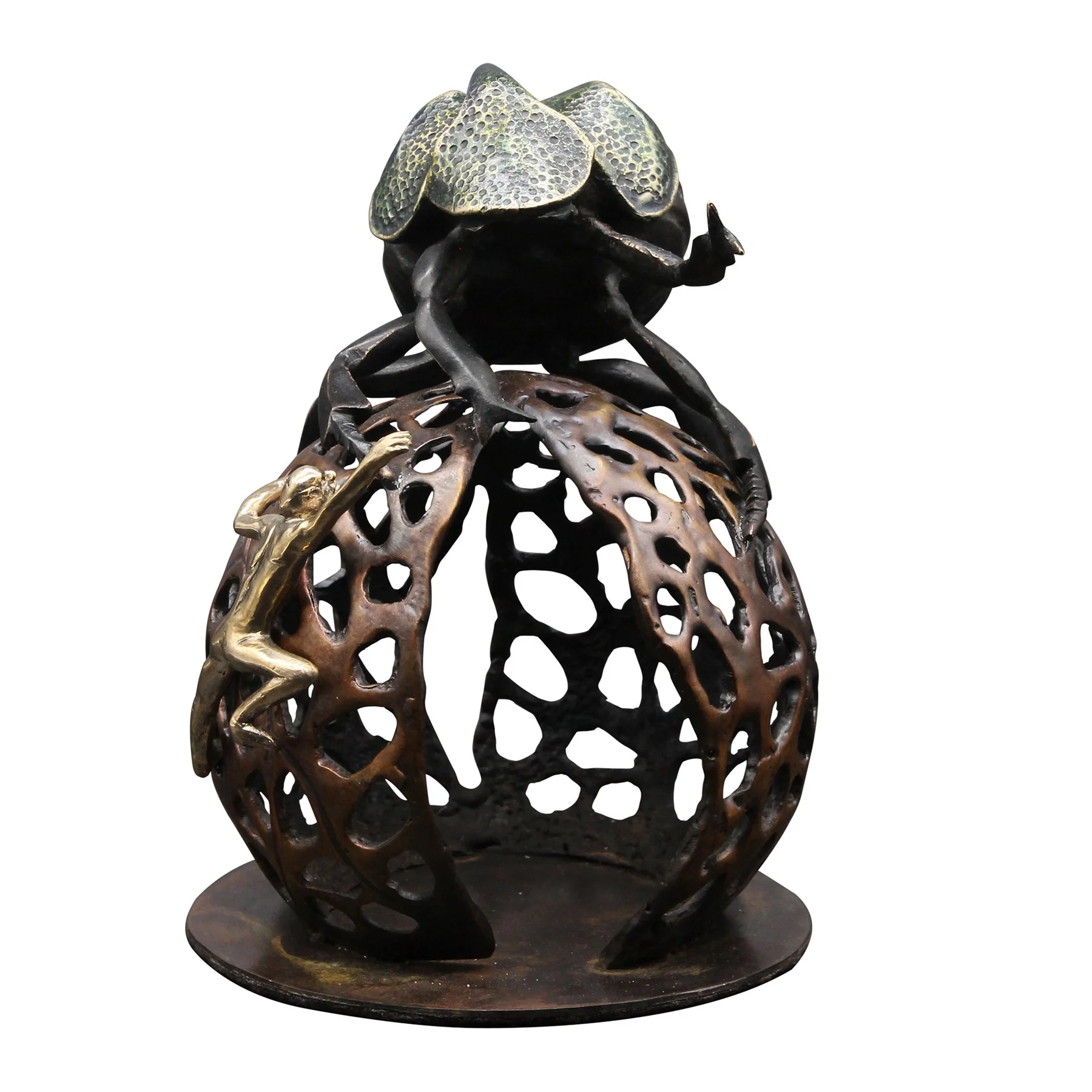 Small Dung Beetle  front view copy.jpg