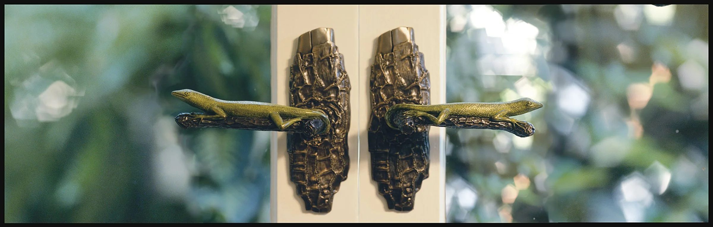  LIZARD   Door Handles  