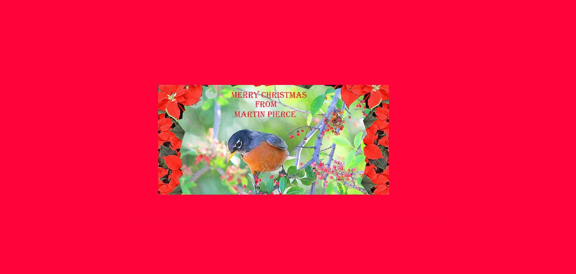 Christmas Greetings 