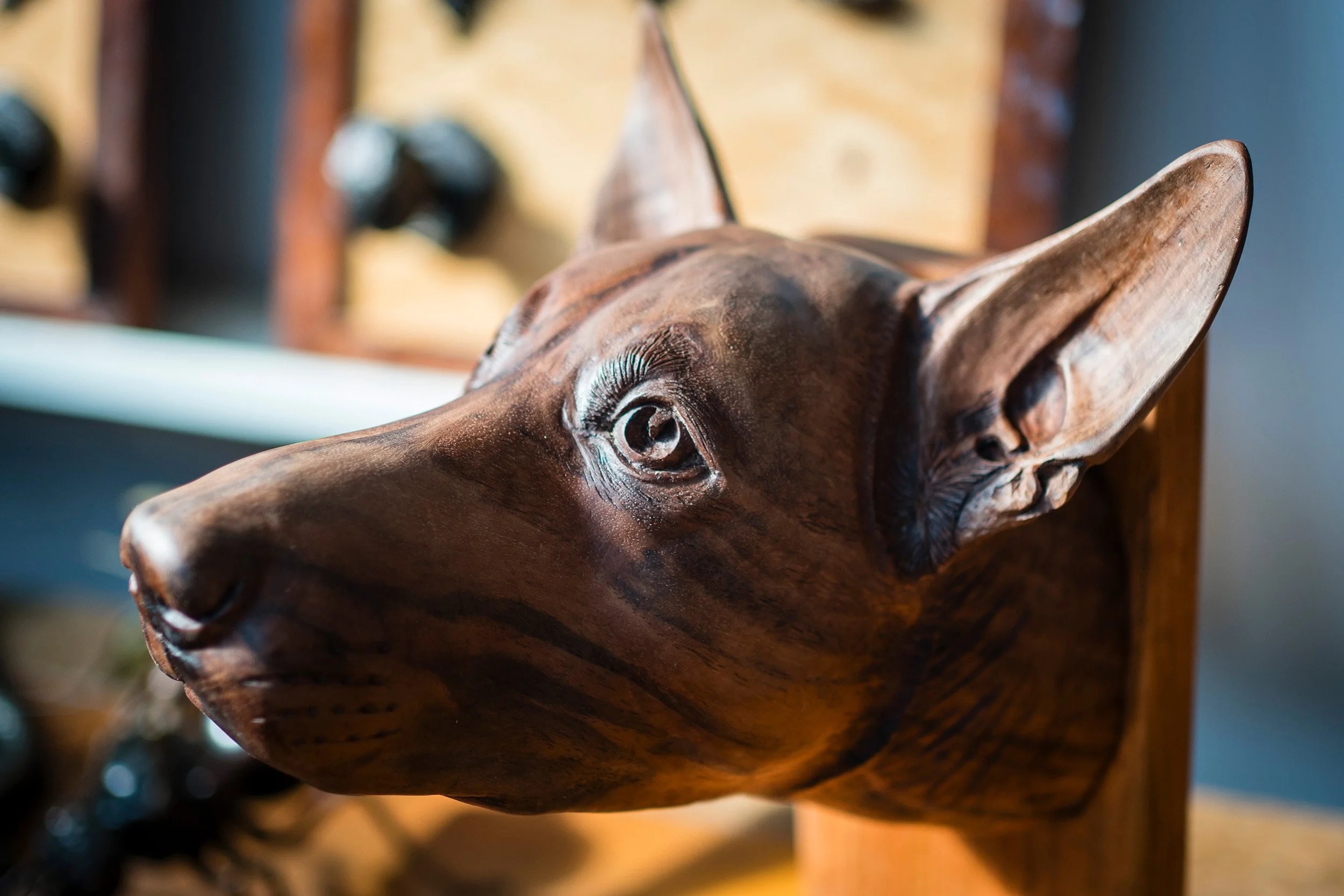 Profile view of the completed Doug dog portrait carved in walnut by Martin Pierce