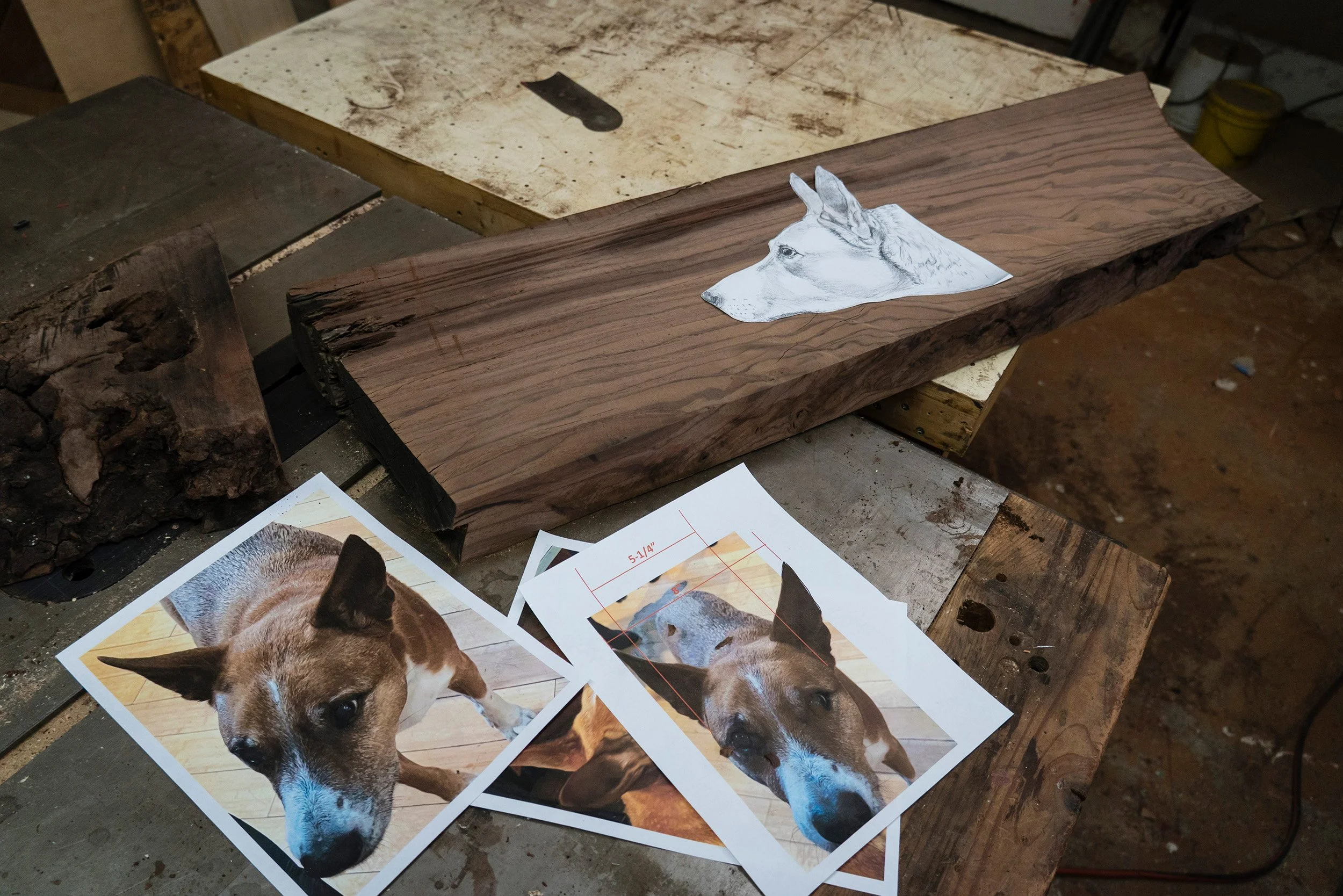 Reference photographs of Doug arranged on Martin’s workbench during the carving process