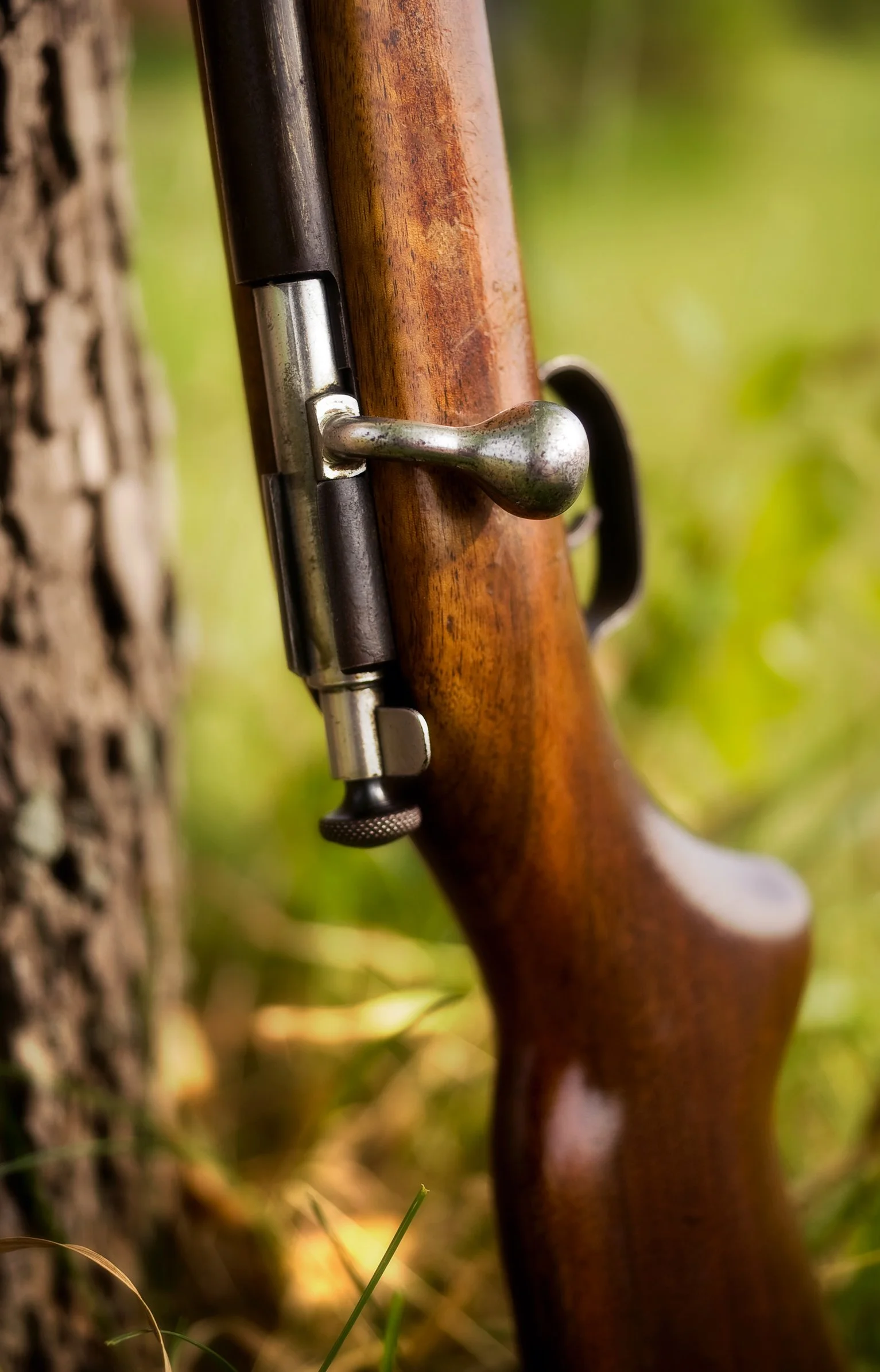 Early-Morning-Hunt.jpg