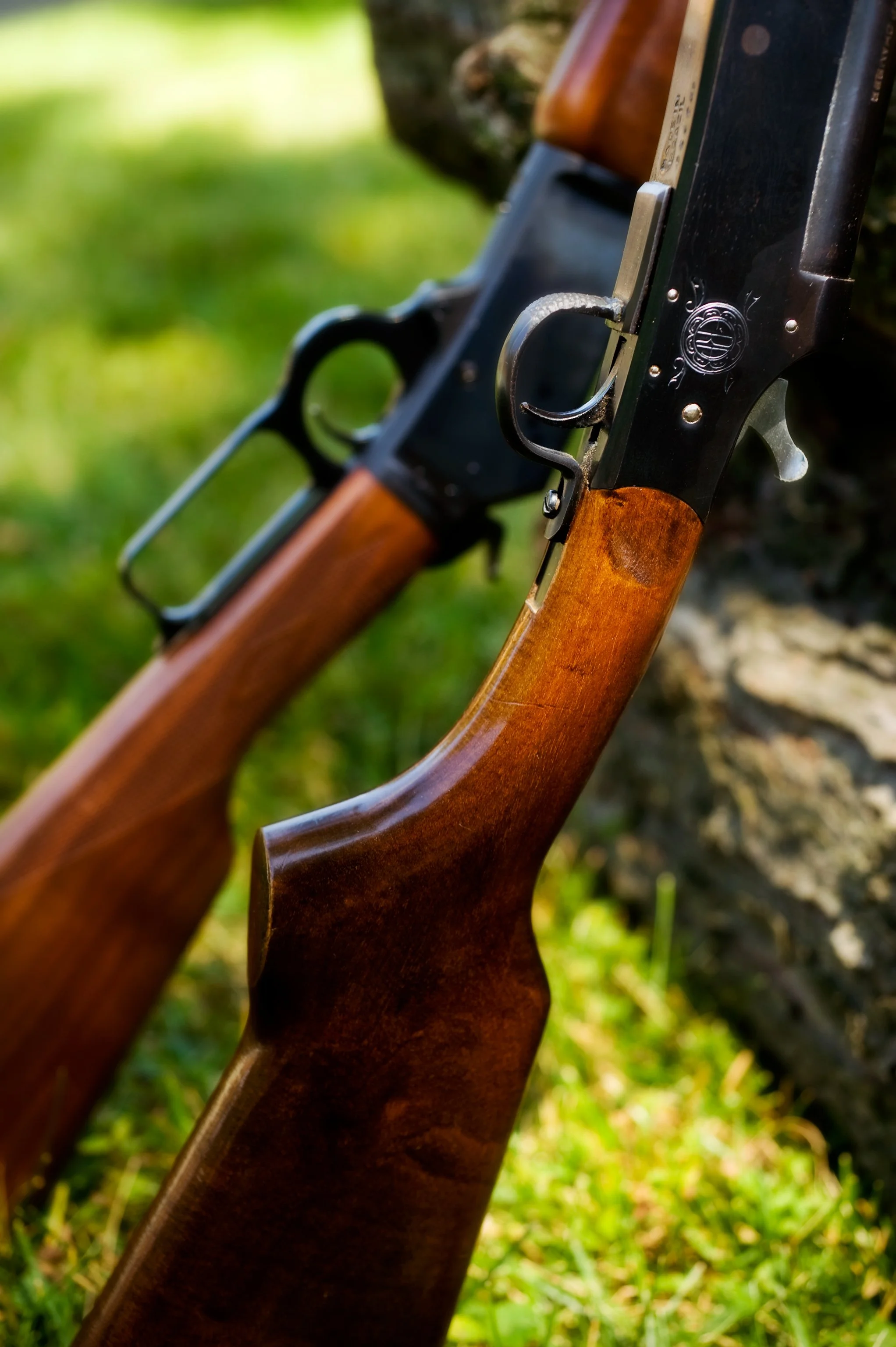 Leaning-Rifle-and-Shotgun.jpg