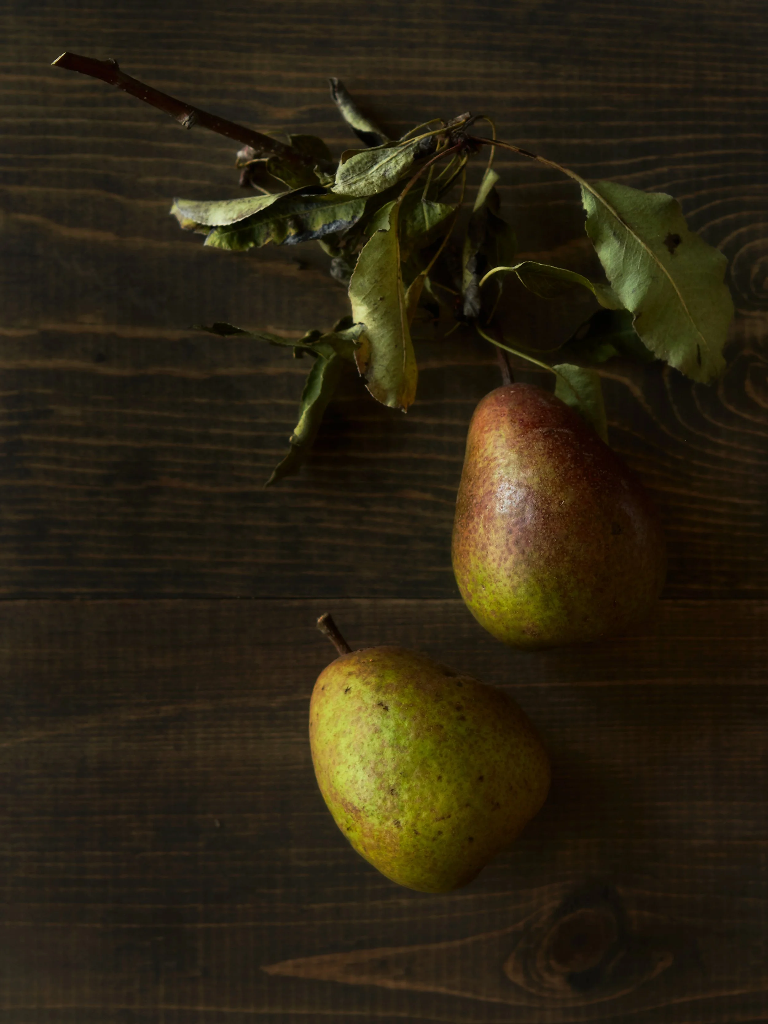 Pears.jpg