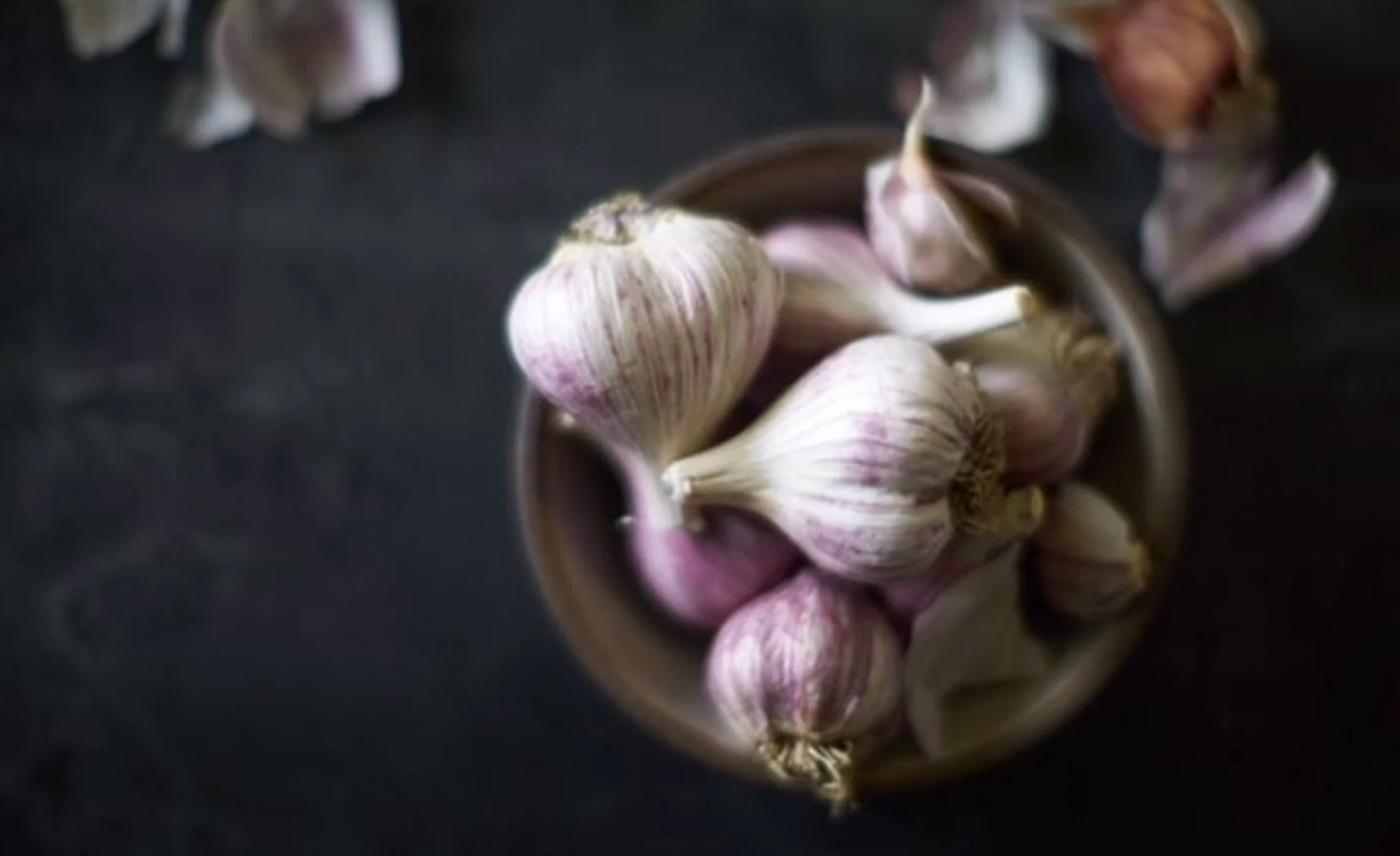 Garlic.jpg
