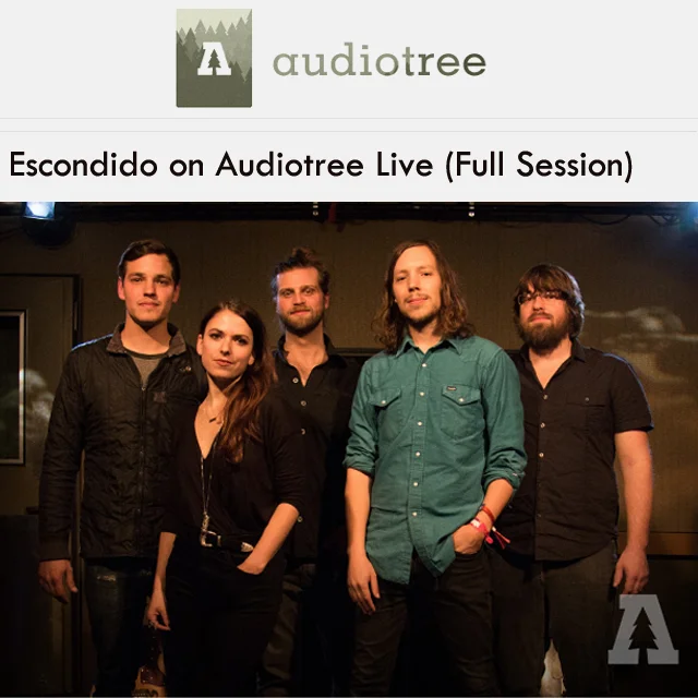 AudioTreeWeb.jpg