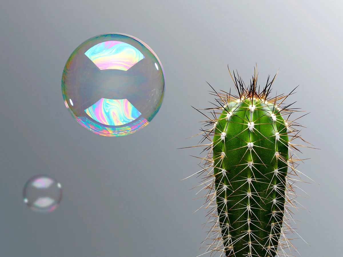 Bubbles-Floating-Toward-Cactus_72dpi_FW.jpg