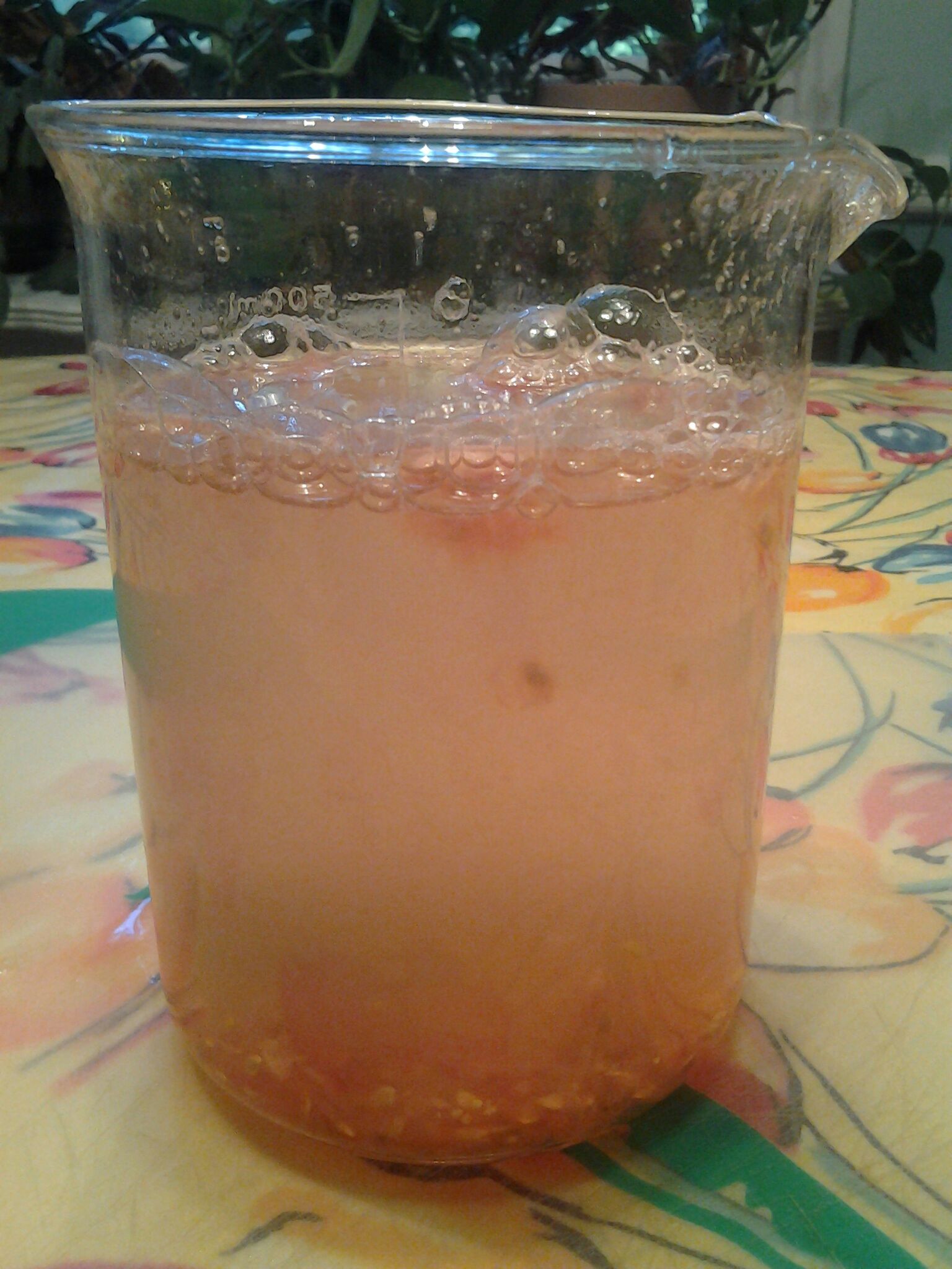 3. Fill with tap water and stir to mix seeds with water. Let seeds settle to bottom and carefully pour off debris until mostly seeds remain. Repeat 3 times.