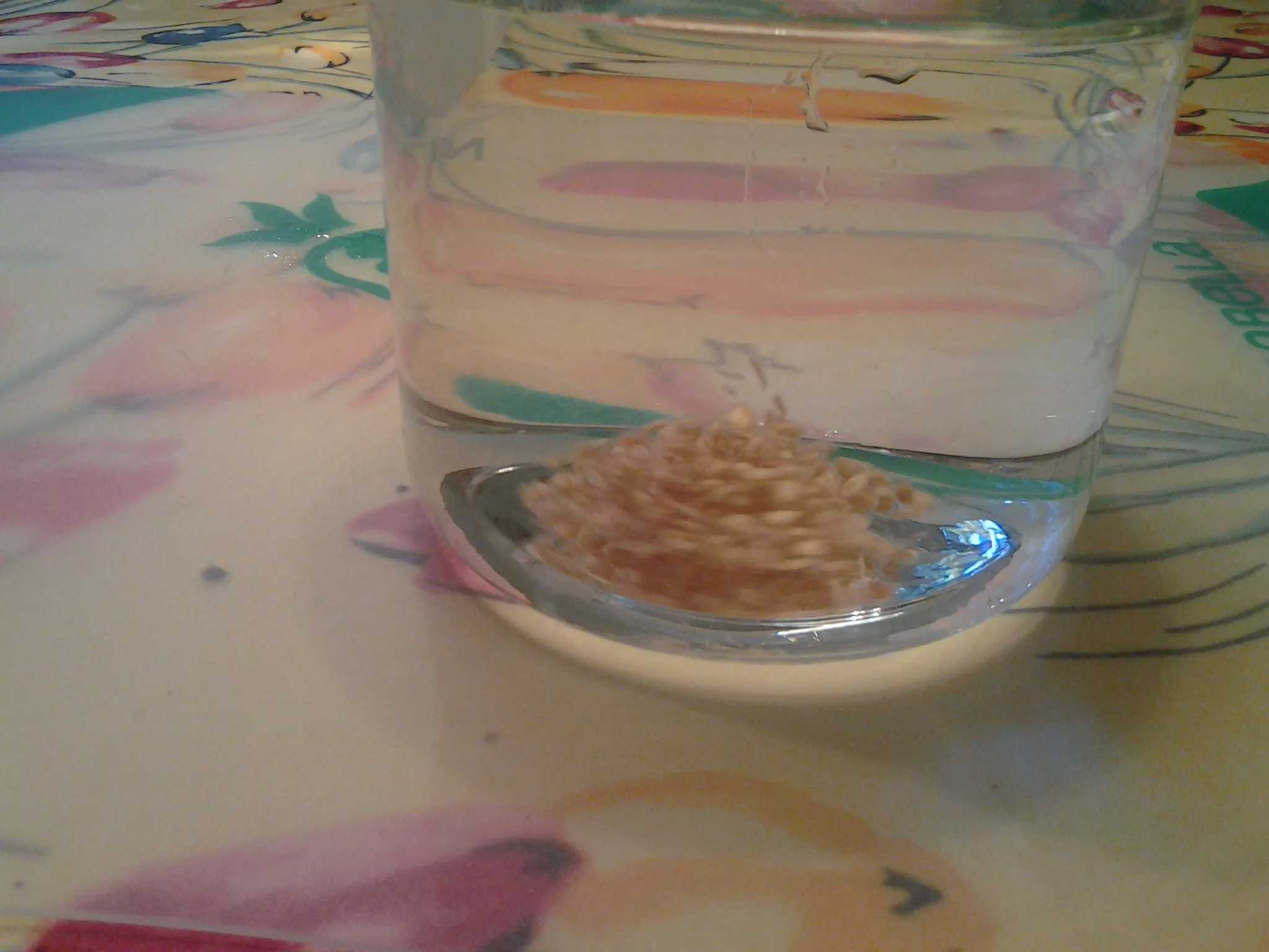 5. Carefully pour mold layer and murky water off.