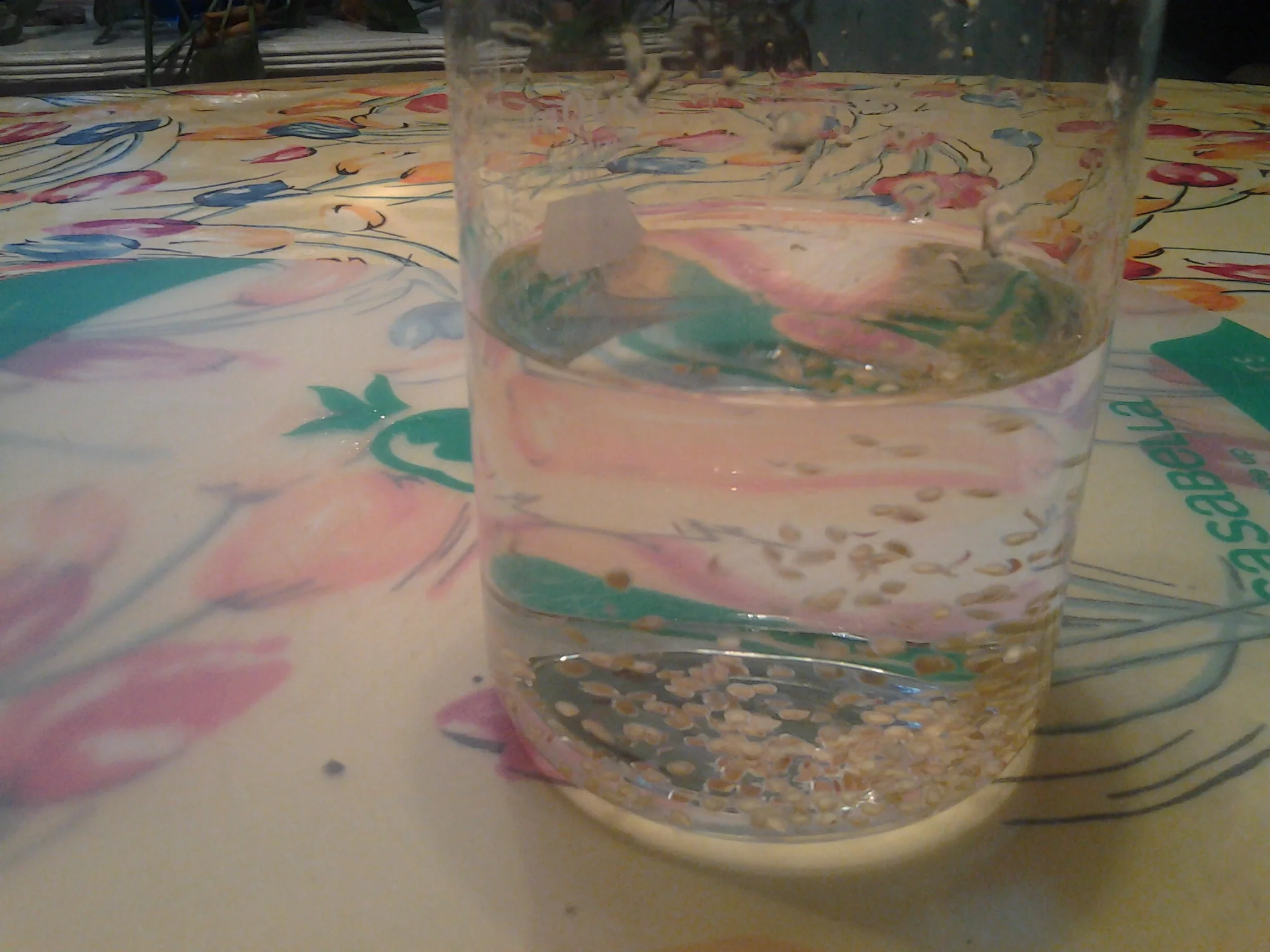 6. Rinse 4 times with clean tap water and pour water off keeping seeds in bottom.