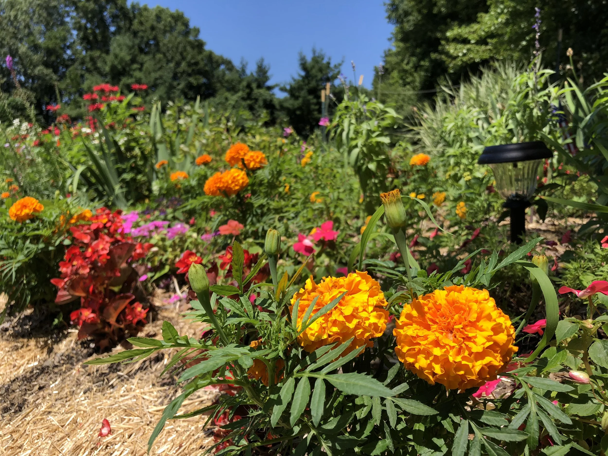 Gateway Garden