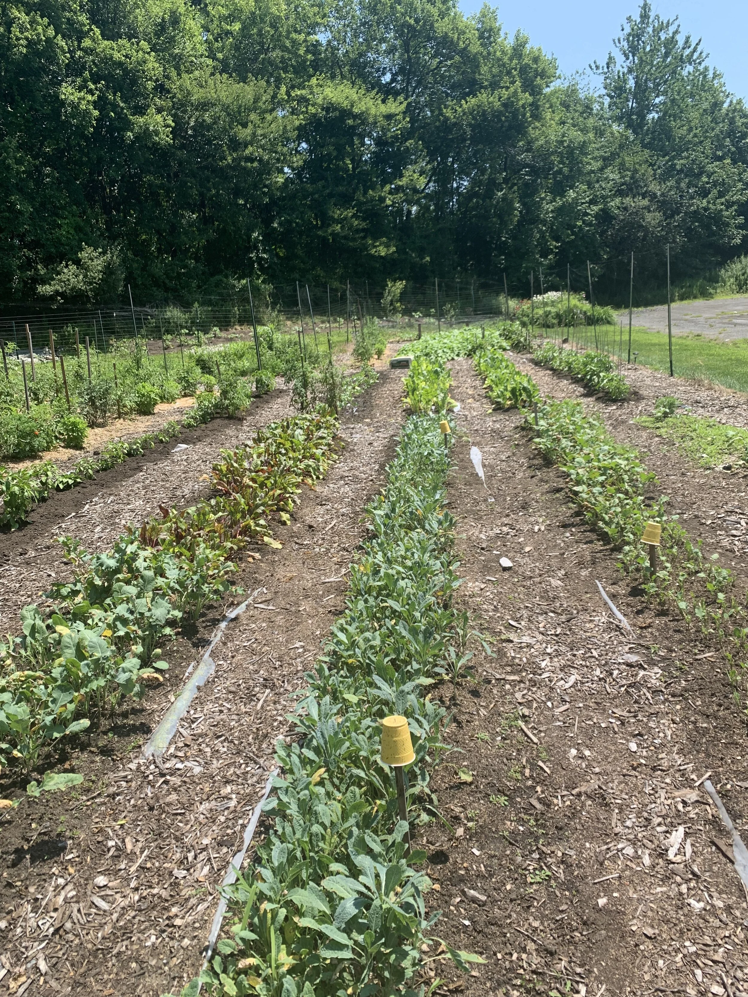 20210724_170844717_iOS copy.jpg